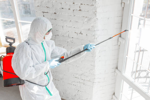 Forensic Mold Investigation in Celoron, NY