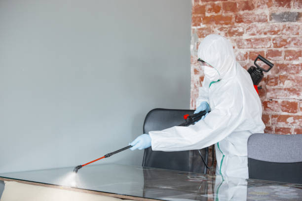 Professional Mold Removal & Remediation in Celoron, NY